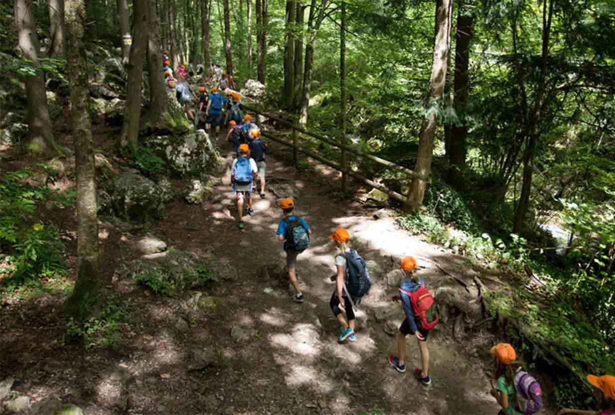 Enfants en classe verte dans les bois