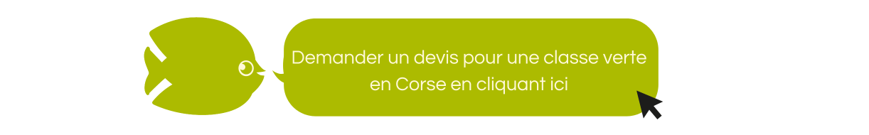 Demander un devis pour une classe découverte en Corse