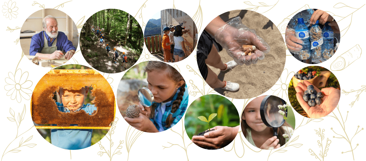 Découvrez la classe-découvertes dédiée à l'écologie, l'environnement et la découverte de la nature 