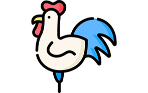 Le coq représentant la France