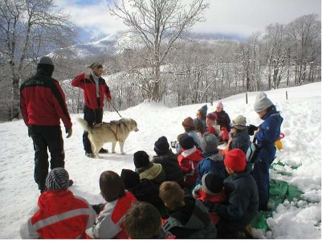 Enfants en colonie de vacances apprenant comment s'occuper des chiens de traîneaux