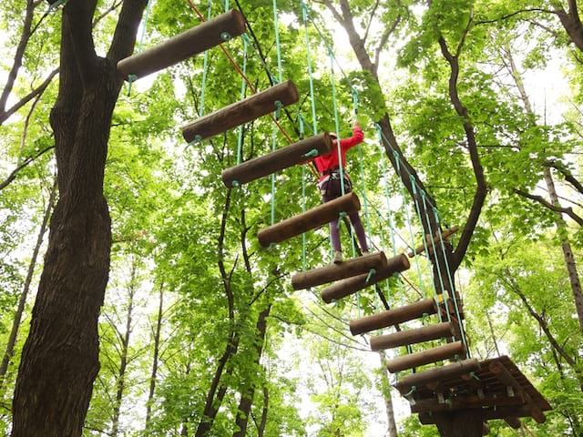 Enfants sur un pont de singe en colonie de vacances accrobranche cet été à Bauduen