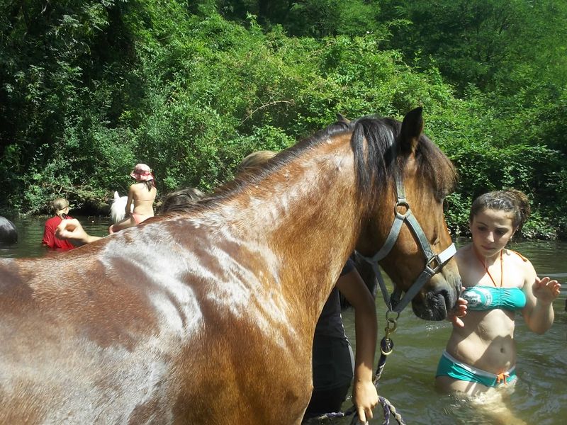 Enfants et ados en balade à cheval dans l'eau en colonie de vacances équtation 
