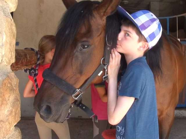 Portrait d'un enfant et son cheval en colonie de vacances