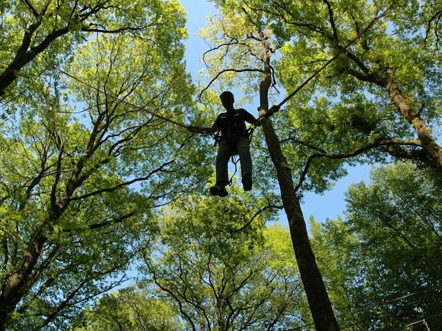 Adolescent faisant de lu trampoline e en colonie de vacances