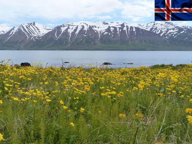 paysage de colonie de vacances Islande cet été