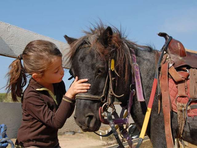 Fillette s'occupant de son poney en colonie de vacances équitation été