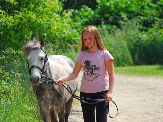 Jeune fille et un cheval en colonie de vacances équitation été