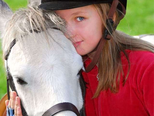 Portrait d'une jeune fille et son cheval en colonie de vacances