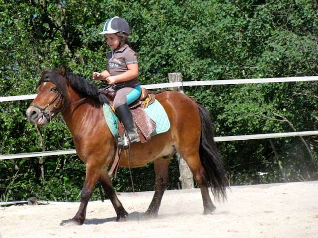 Fillette à dos de poney en colo équitation 