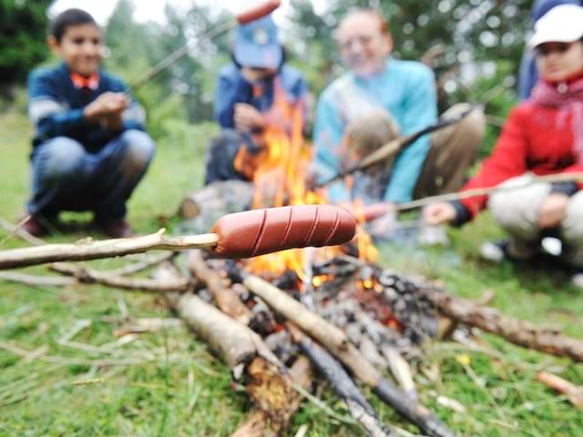 Enfants en colonie de vacances autour du feu de camp faisant cuire des saucisses et des chamallow été