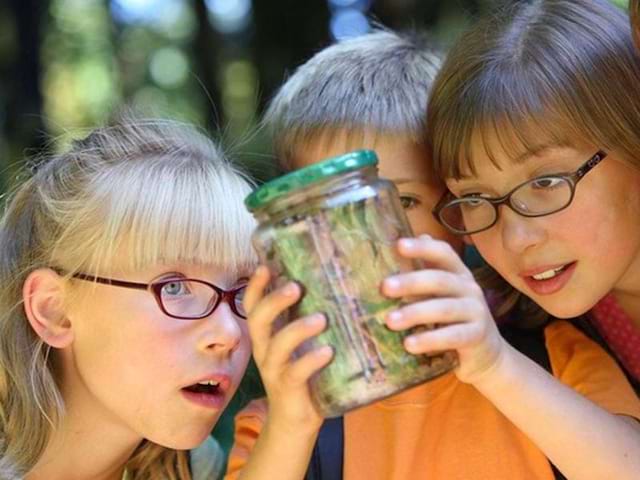 Trois enfants observant des insectes dans un bocal en colonie de vacances été 