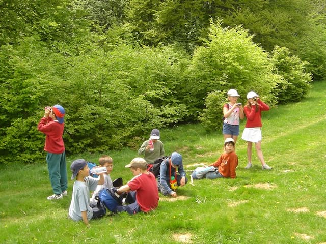 Groupe d'enfants faisant un pic nic en colonie de vacances à la campagne