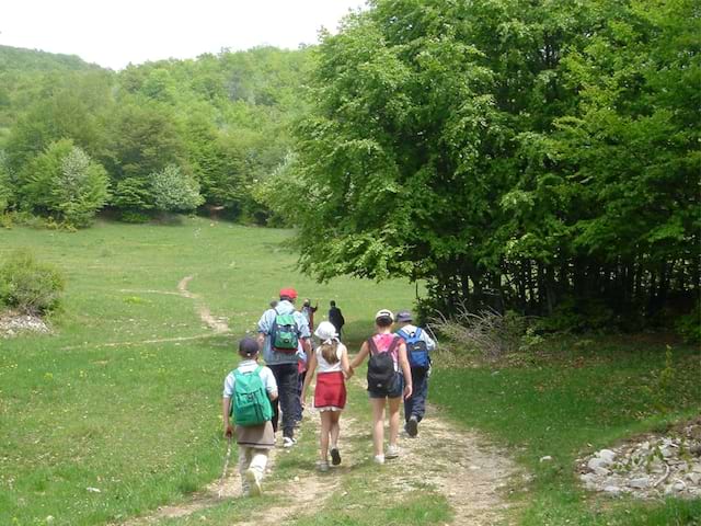 Groupe d'enfants en balade à la campagne en colonie de vacances été