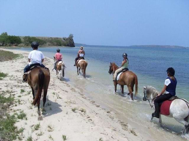 Enfants et adolescents à cheval au bord de l'eau en colonie de vacances d'été