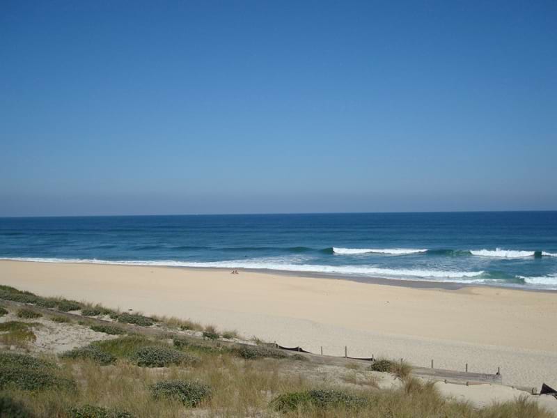 Paysage de bord d'océan en colonie de vacances surf