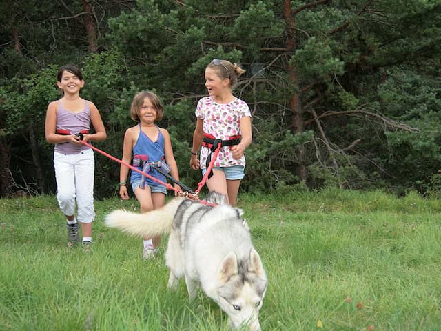 Trois jeunes filles en balade avec un chien en canirando en colonie de vacances 