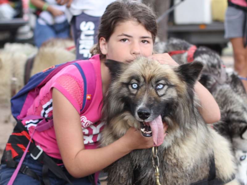 portrait d'une jeune fille avec un chien en canirando