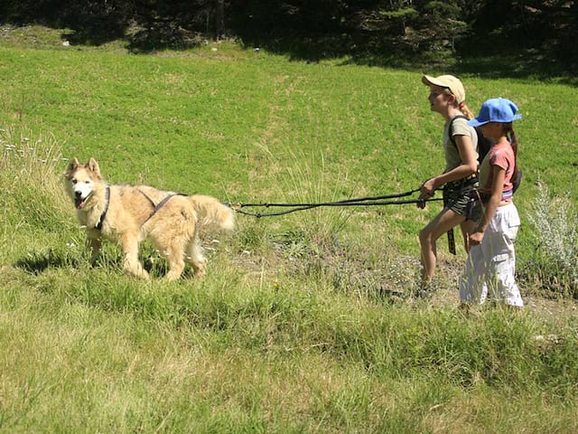 Deux fillettes en balade en canirando avec leur chien en colonie de vacances été