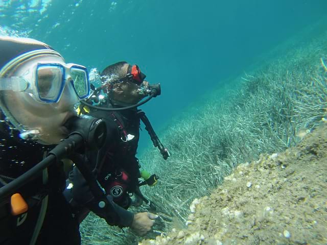 Activité plongée en colonie de vacances en Corse cet été