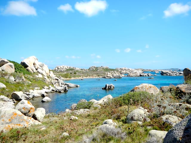 Paysage de colonie de vacances en Corse cet été pour ados