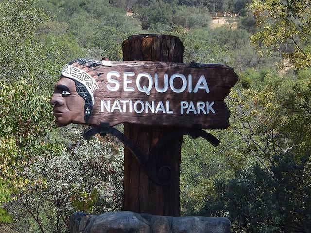 Visite de Sequoia park en colonie de vacances aux Etats Unis cet été