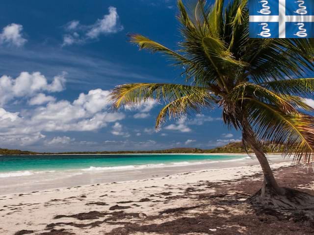 plage martiniquaise en colonie de vacances d'été