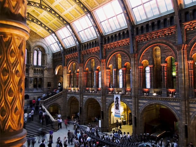 L'intérieur du musée d'histoire naturelle de Londres