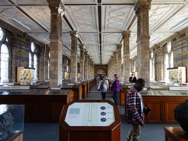 La collection scientifique du musée d'histoire naturelle de Londres en Angleterre