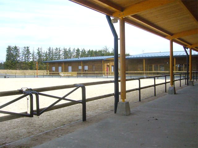 Centre equitation stage sportif 