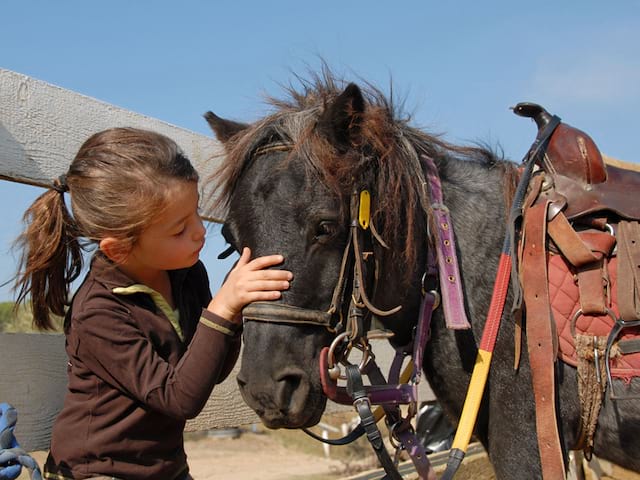 Portrait d'une fillette et un cheval en stage sportif d'équitation cet été