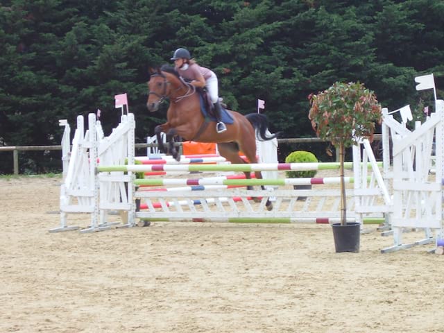 Adolescente pratiquant le saut d'obstacle en stage sportif d'équitation 