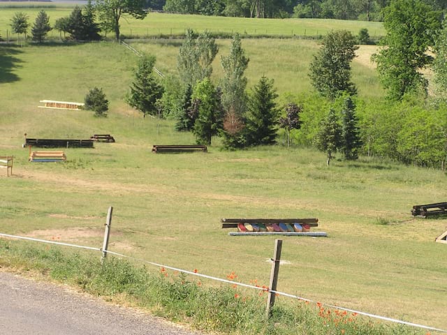 Centre équitation stage sportif ados enfants