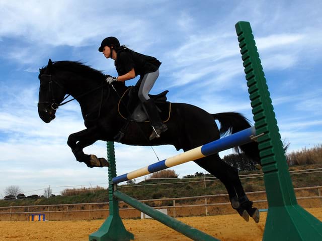 Adolescente pratiquant le saut de haie à cheval en stage équitation