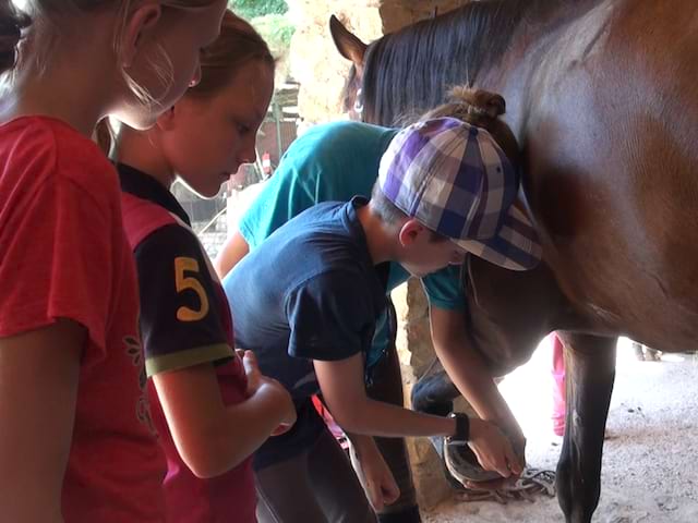 enfants apprenant à s'occuper des fers des cheveux en stage sportif équitation