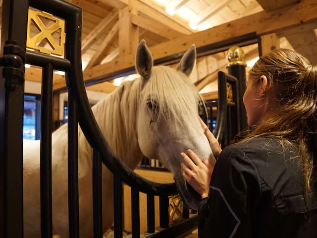 adolescente prenant soin de son cheval en stage sportif