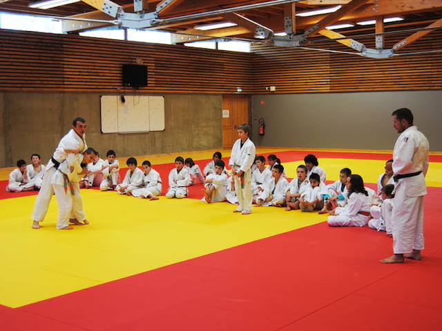 groupe d'enfants faisant du judo en stage sportif