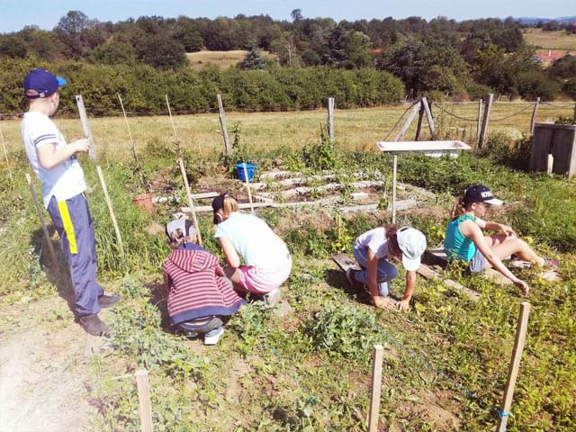 Des enfants qui jardinent en colonie de vacances