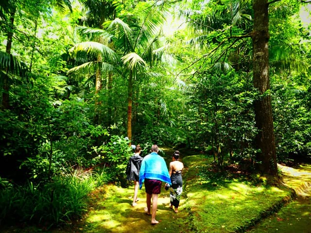 Adolescents en balade en forêt en colonie de vacances aux Açores