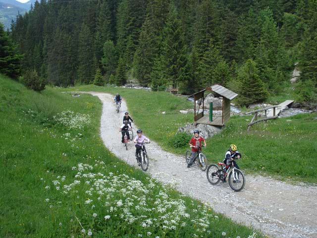 Enfants faisant du vélo à la montagne l'été en colonie de vacances