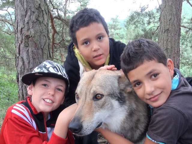 Groupe d'enfants avec un chien en colonie de vacances canirando été