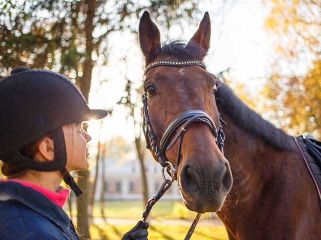 Portrait d'un ado et son cheval en colonie de vacances