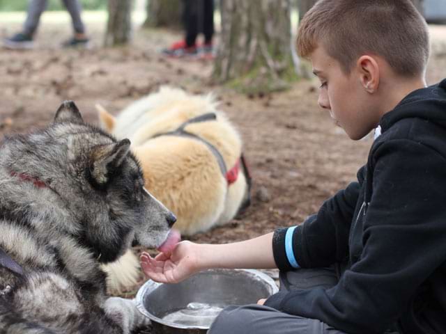 Garçon donnant à boire à un chien de canirando en colonie de vacances