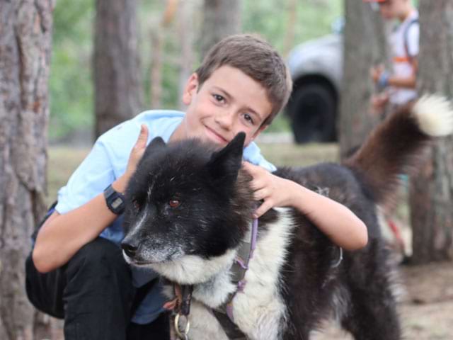 Portrait d'un jeune garçon et un chien de colonie de vacances d'été