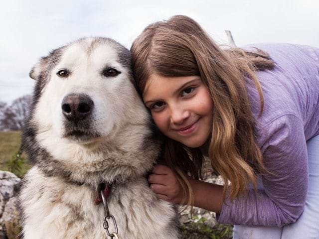 Portrait d'une jeune fille et son chien en colonie de vacances 