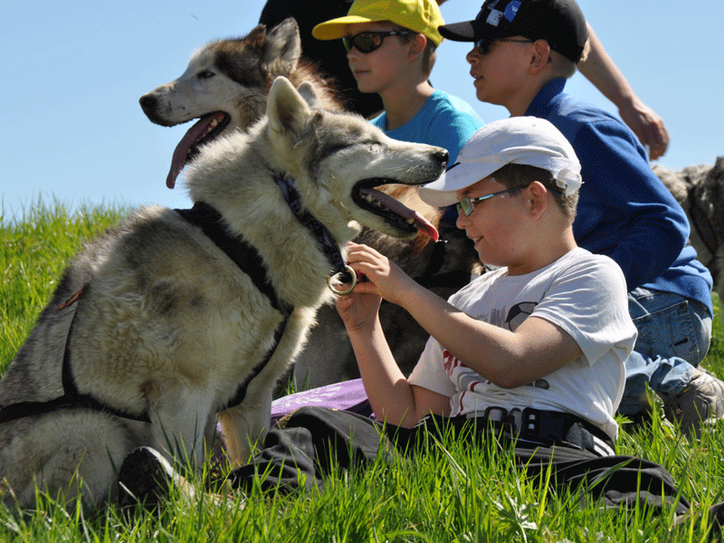 Groupe d'enfants avec leur chien en colonie de vacances d'été