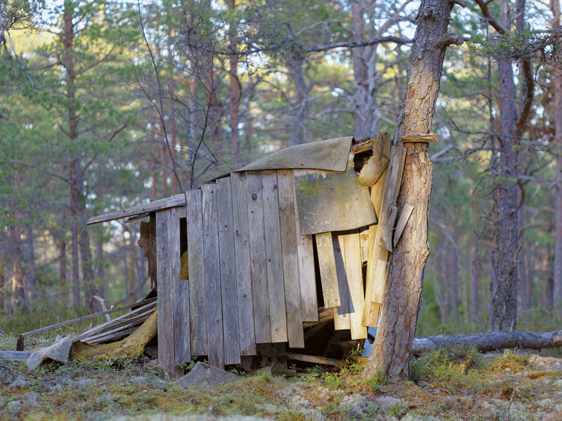 Cabane dans les bois construite par des enfants en colonie de vacances