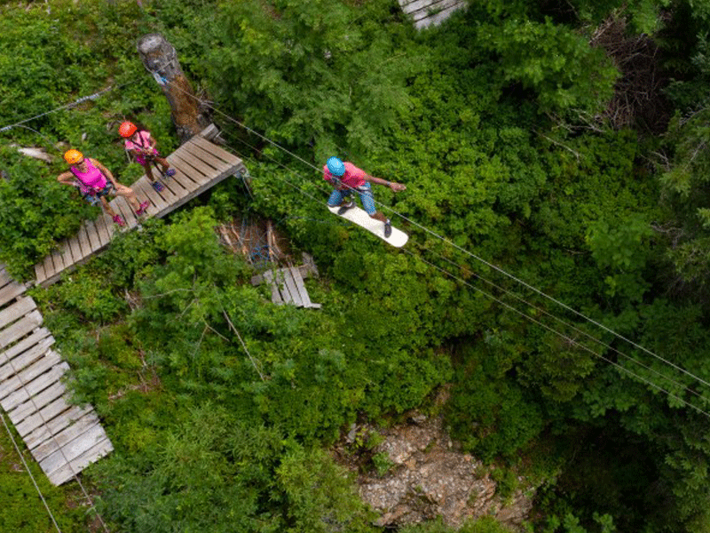 Enfants faisant de l'accrobranche en colonie de vacances