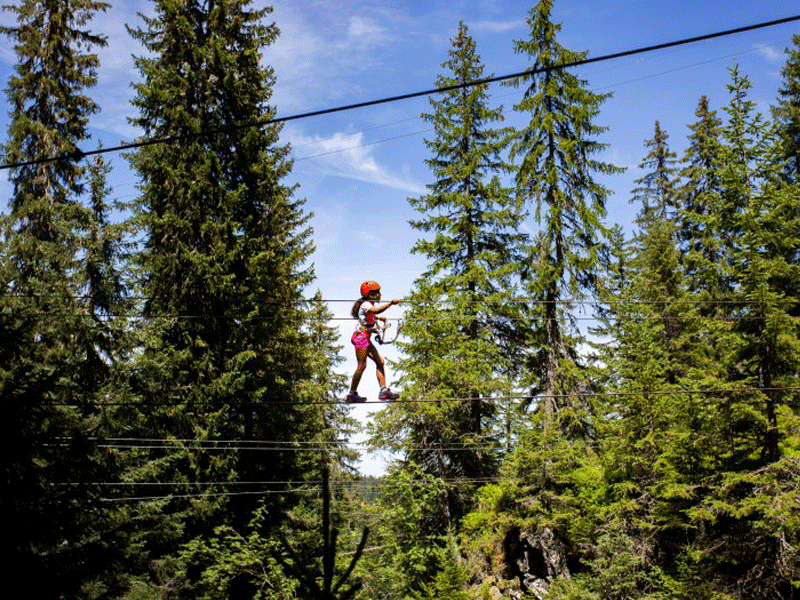 enfant faisant de l'accrobranche à la montagne en colonie de vacances d'été