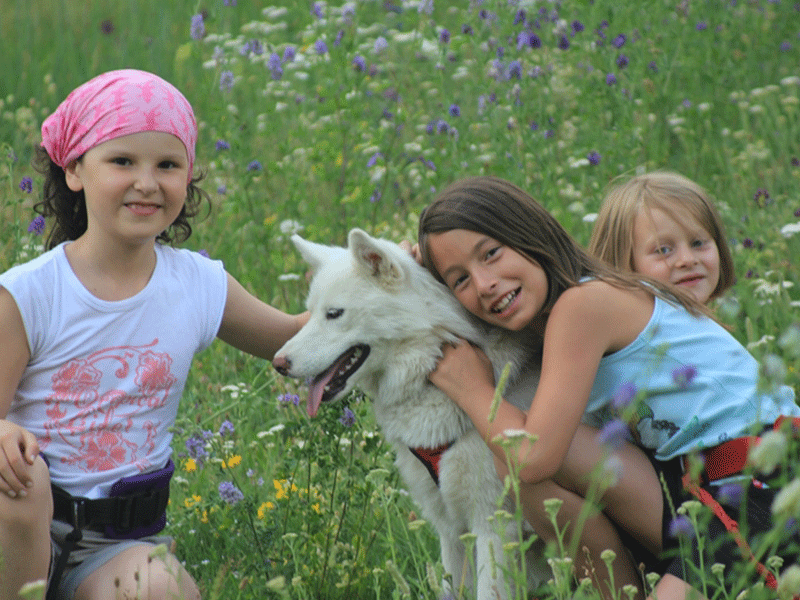 trois jeunes filles avec un chien en colonie de vacances canirando